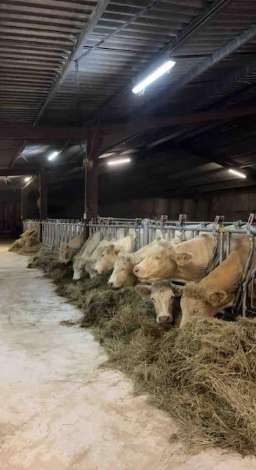Maison Au Sein D'Une Ferme Villa Rahling Eksteriør billede